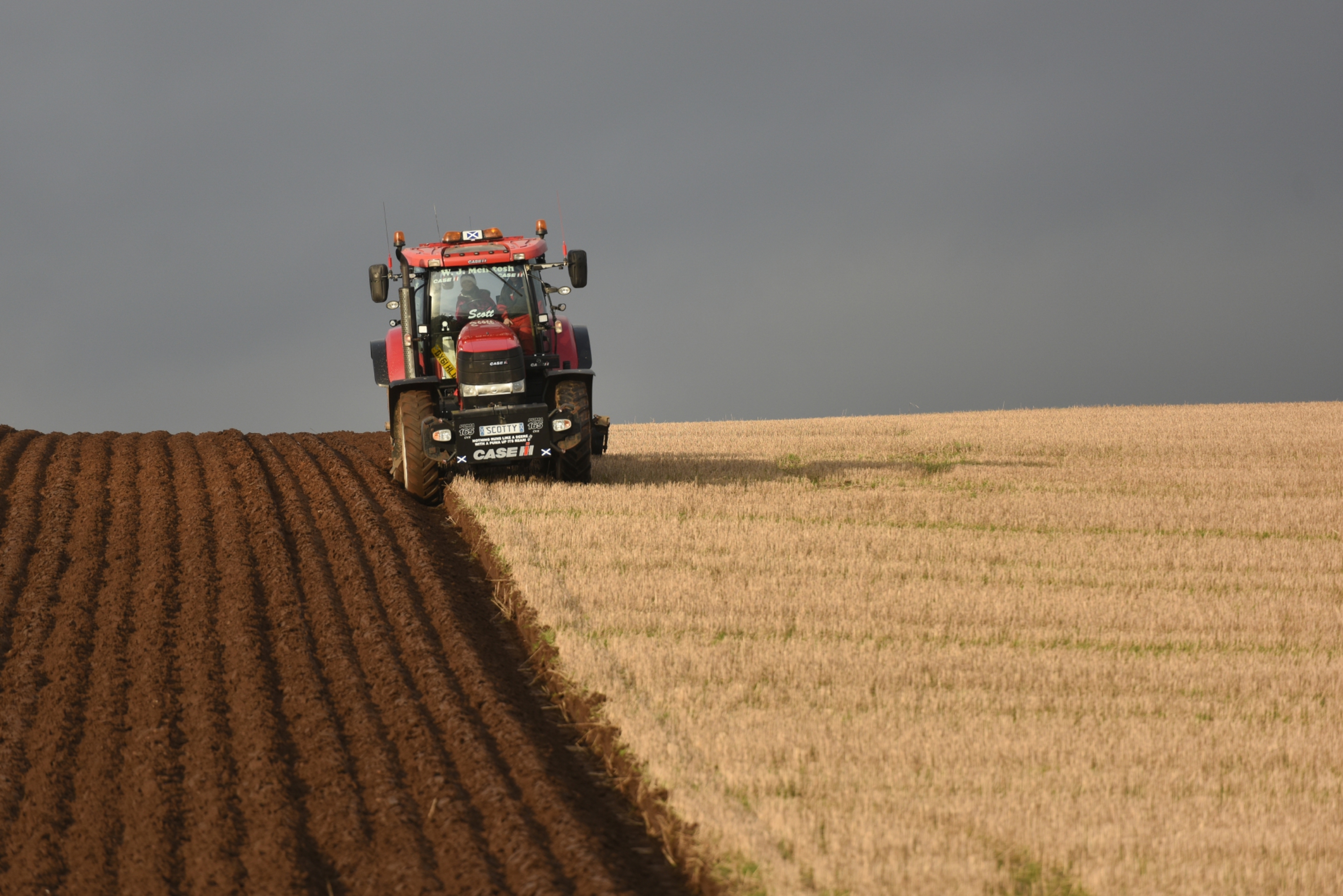 Gayle ploughing a strip of land near Coupar Angus under the watchful eye of Scott McIntosh.