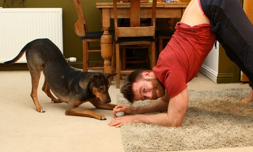 Finlay Wilson at home with his yoga dog Amaloh. 