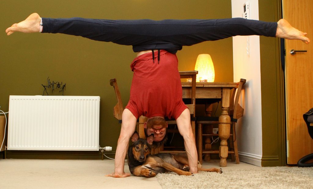 DNic_Yoga_Dog