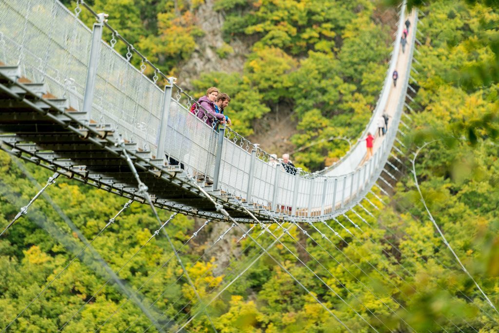 Afraid of heights? The spectacular Geierlay suspension bridge.