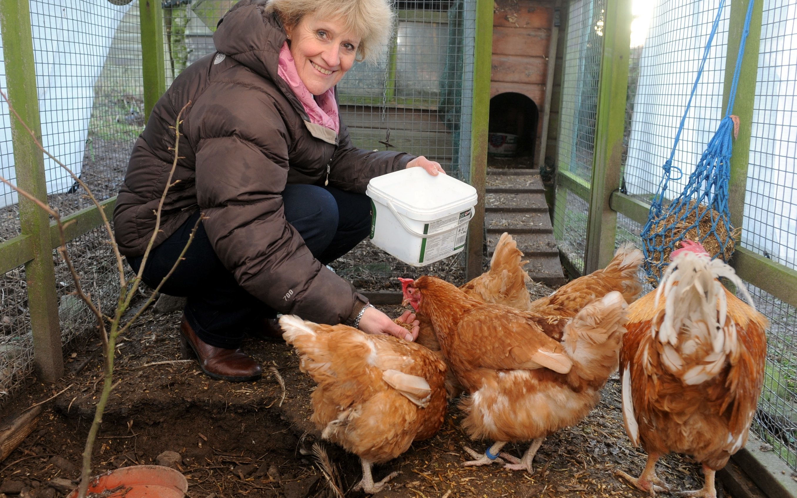 Birds in paradise: Jill Sykes with some of her girls