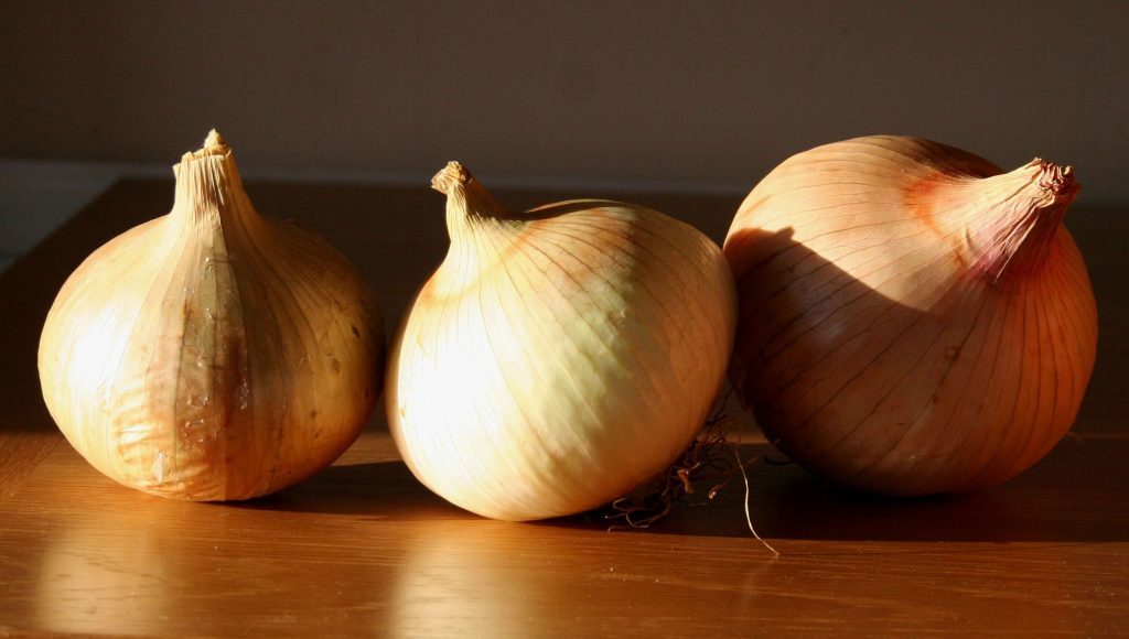 Onion globo