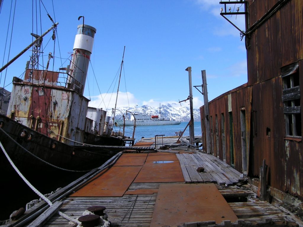South Georgia is a mixture of stunning scenery, teeming wildlife and the rusted remains of a once proud industry.