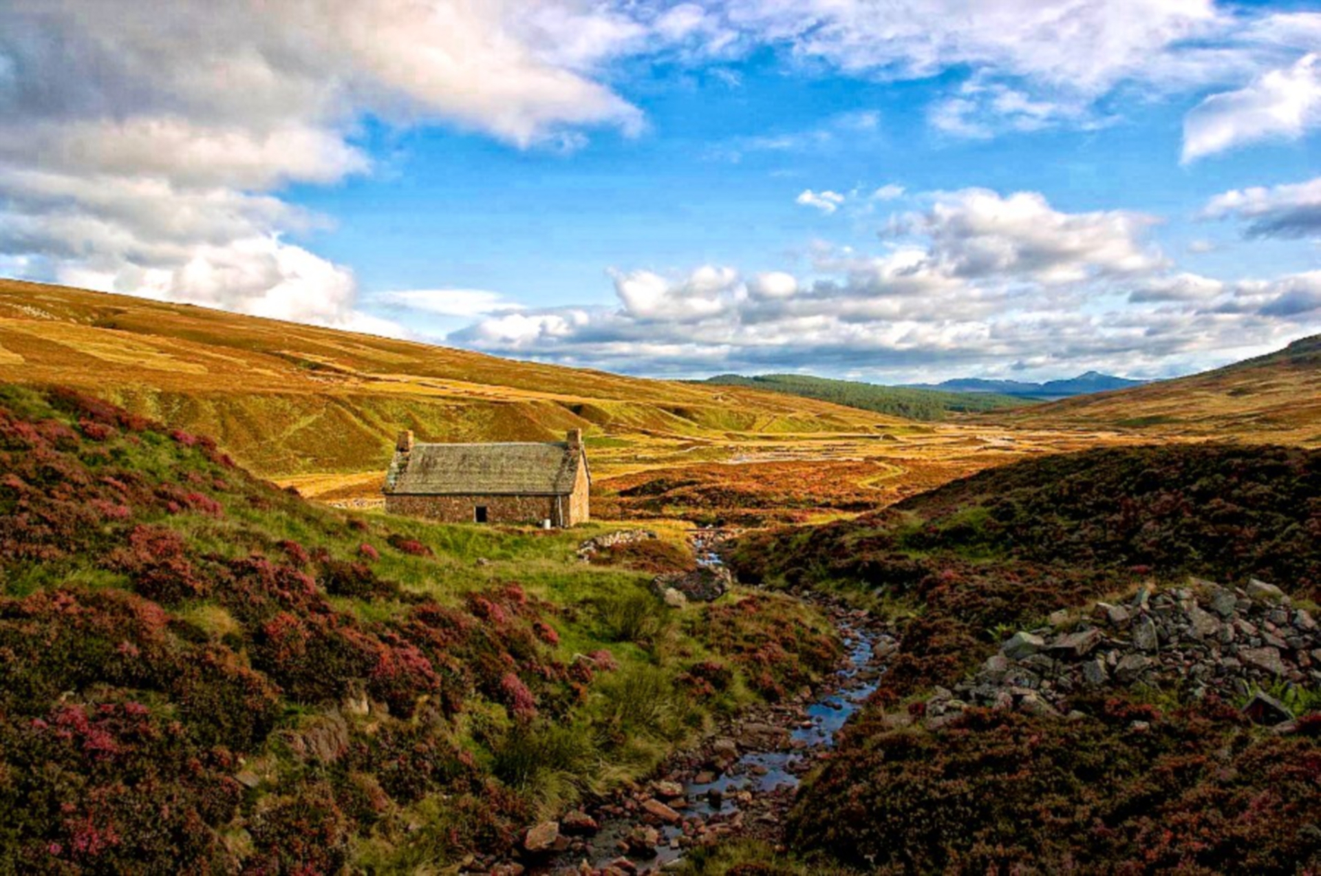 Atmospheric views across Atholl Estates.