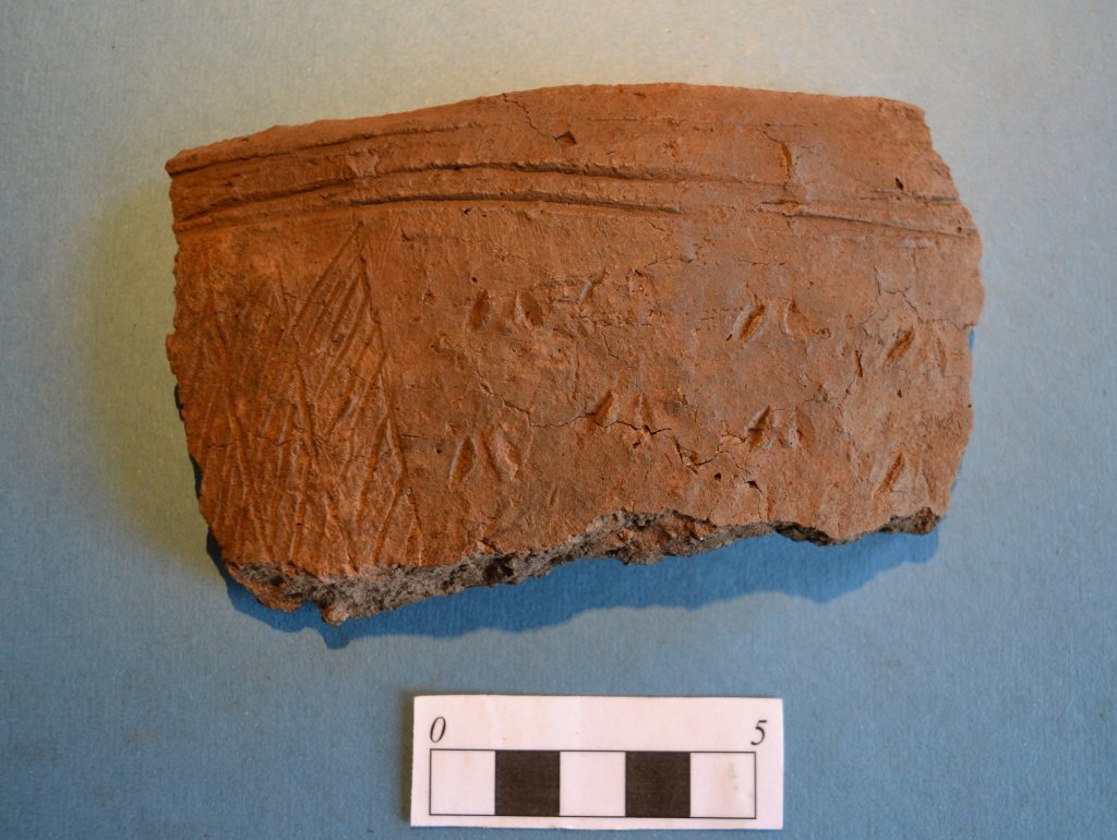 A section of grooved ware pottery found near St Andrews. 