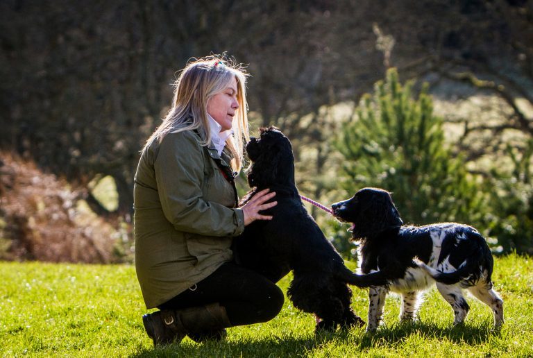 Article By Perthshire Gundog Rescue The Courier