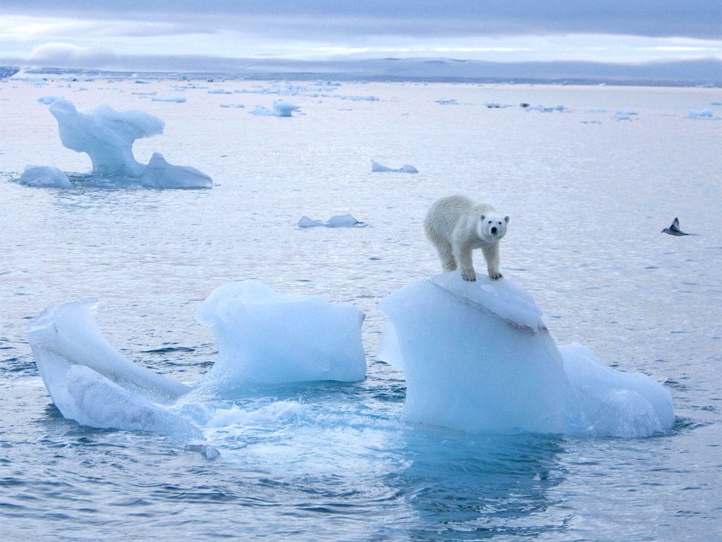 Arctic ice