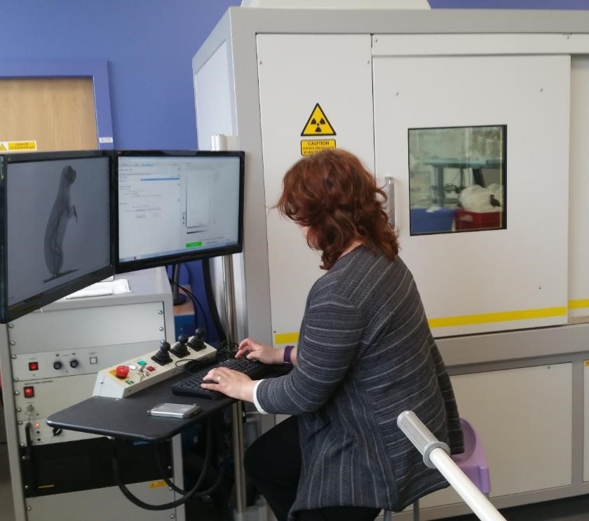 Caroline Erolin operating the micro ct scanner