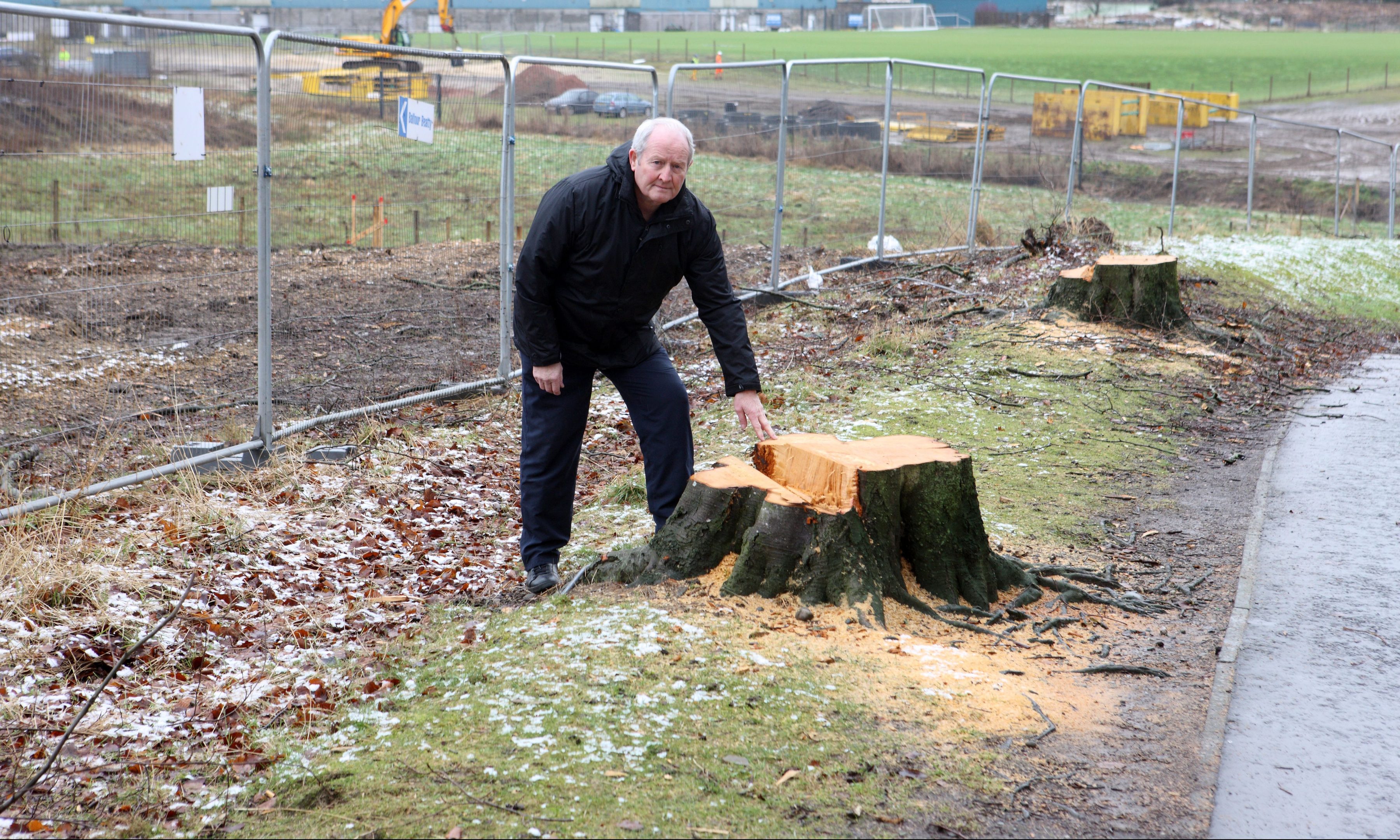 Callum Gillies at the site of the felled trees.