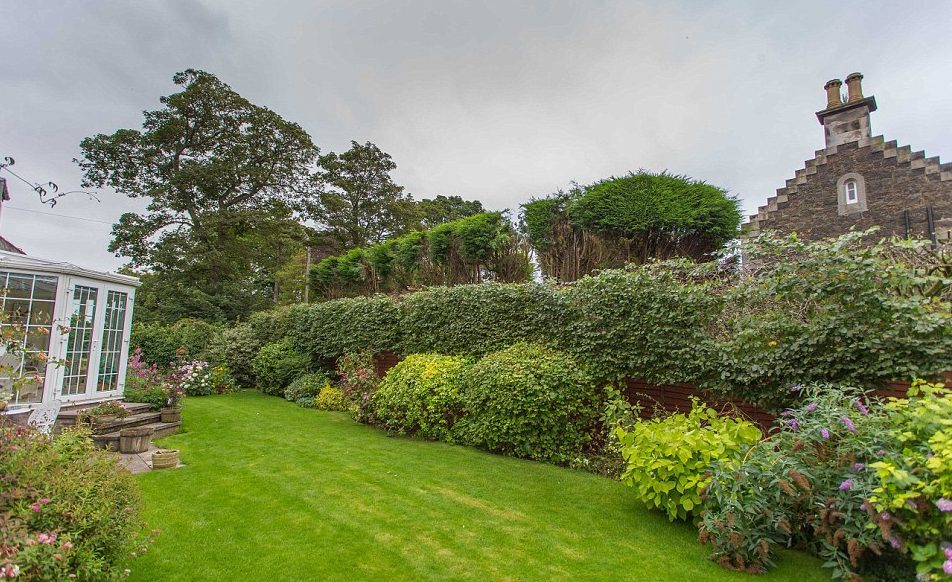 A disputed high hedge in Fife