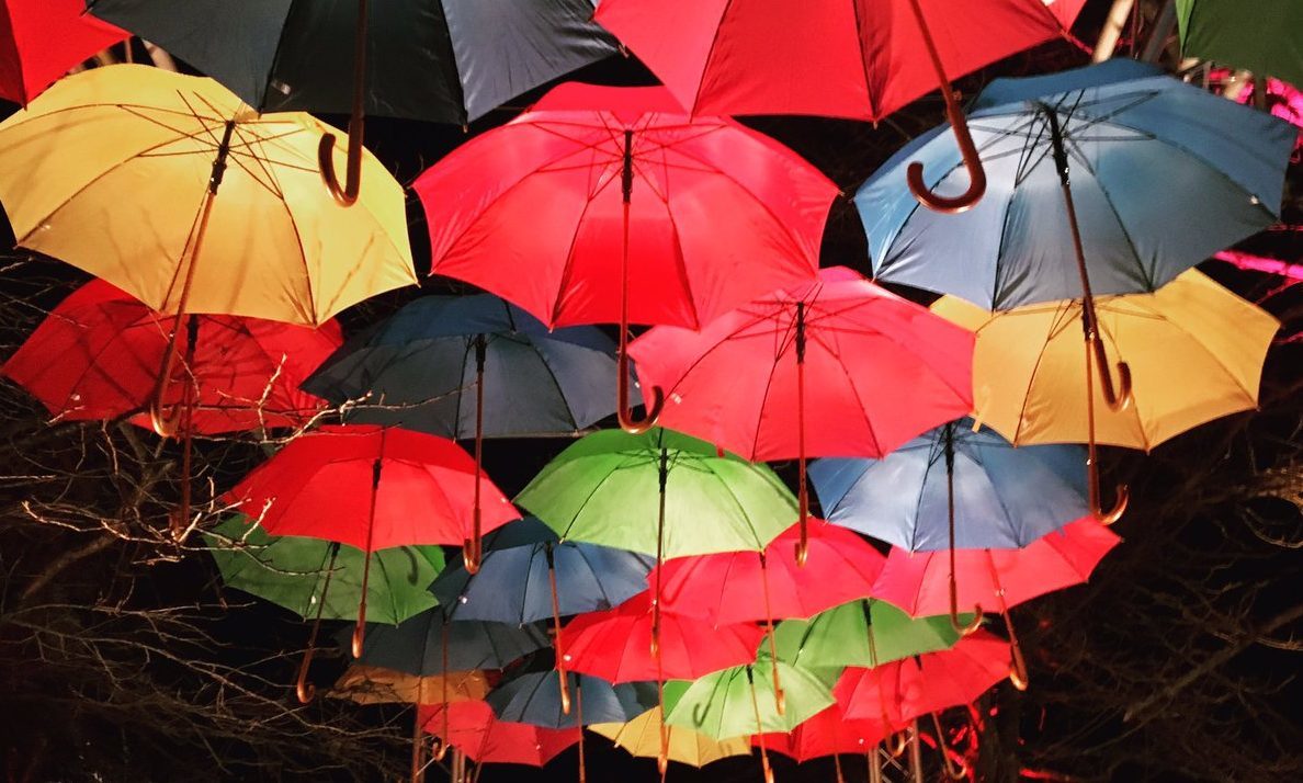 Umbrellas on the Norie-Miller trail.