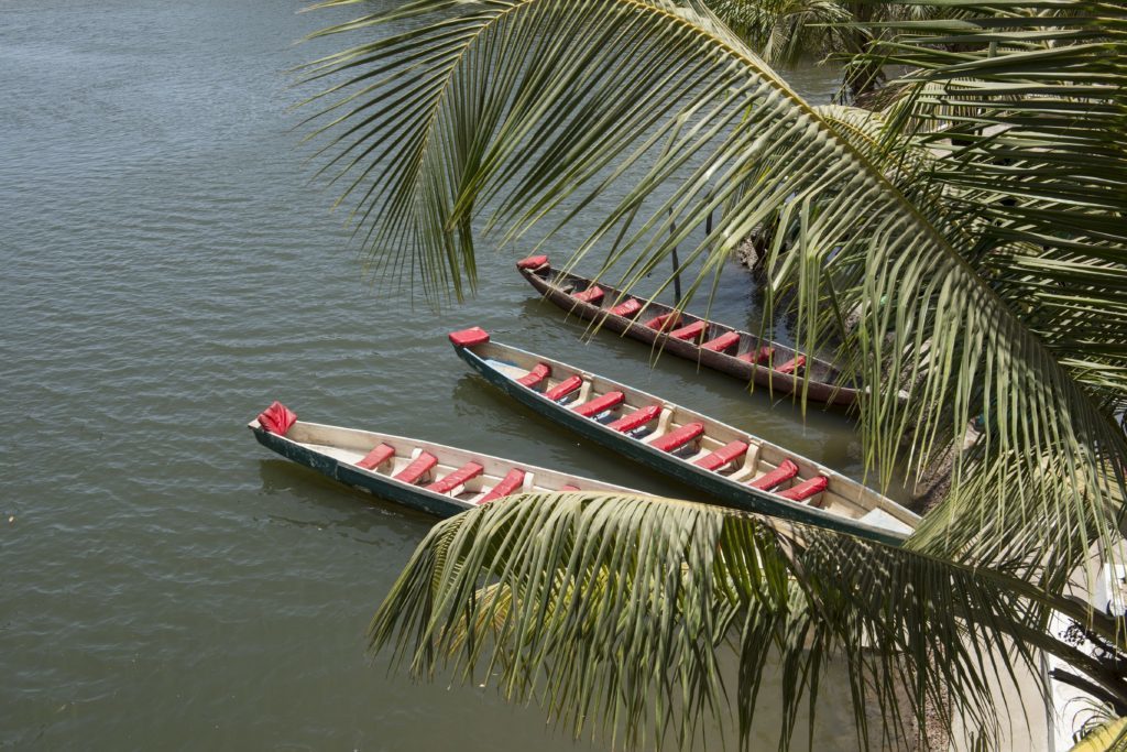 Pirogues on water, Makasutu, The Gambia. 