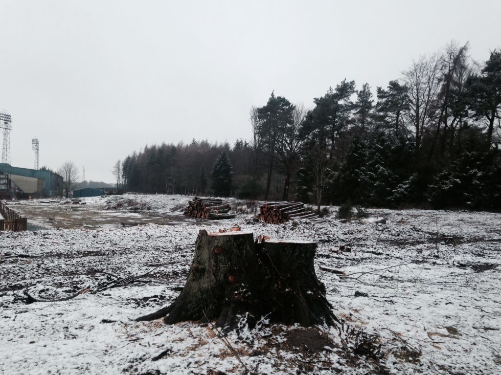 The area between McDiarmid Park (on the left) and Perth Crematorium has been cleared of trees.