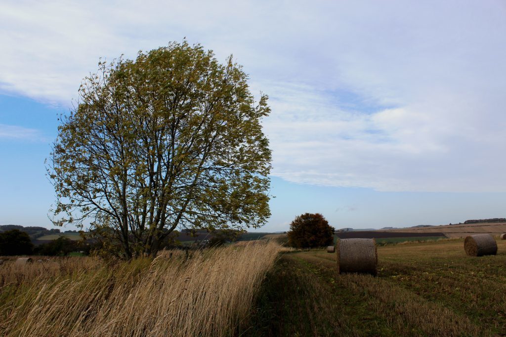 2 - Farmland on the outskirts of Ceres - James Carron, Take a Hike