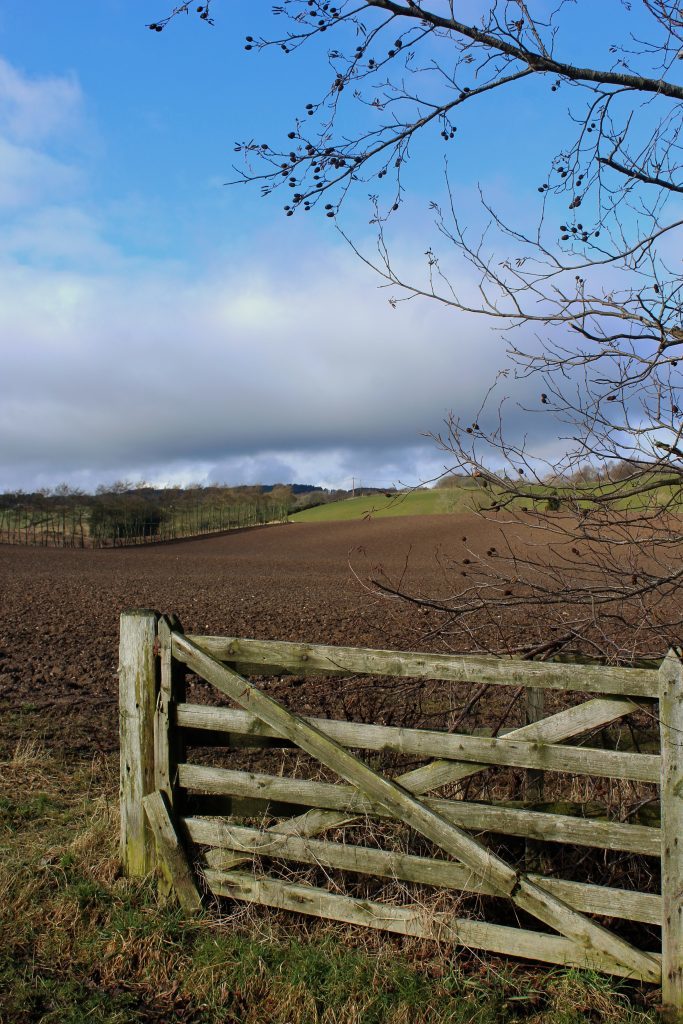 2 - Farmland to the west of Alyth - James Carron, Take a Hike