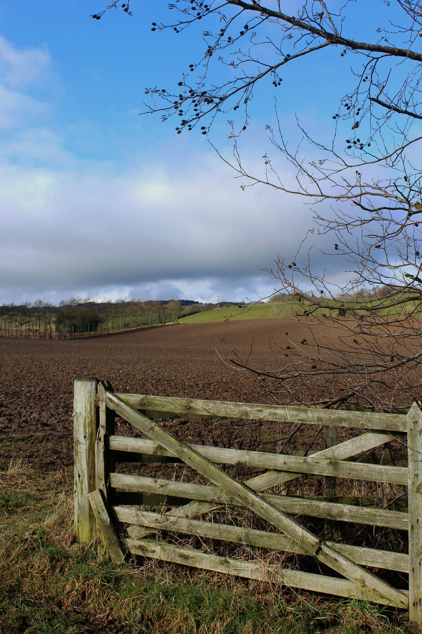 Farmers are preparing for a changing political landscape,