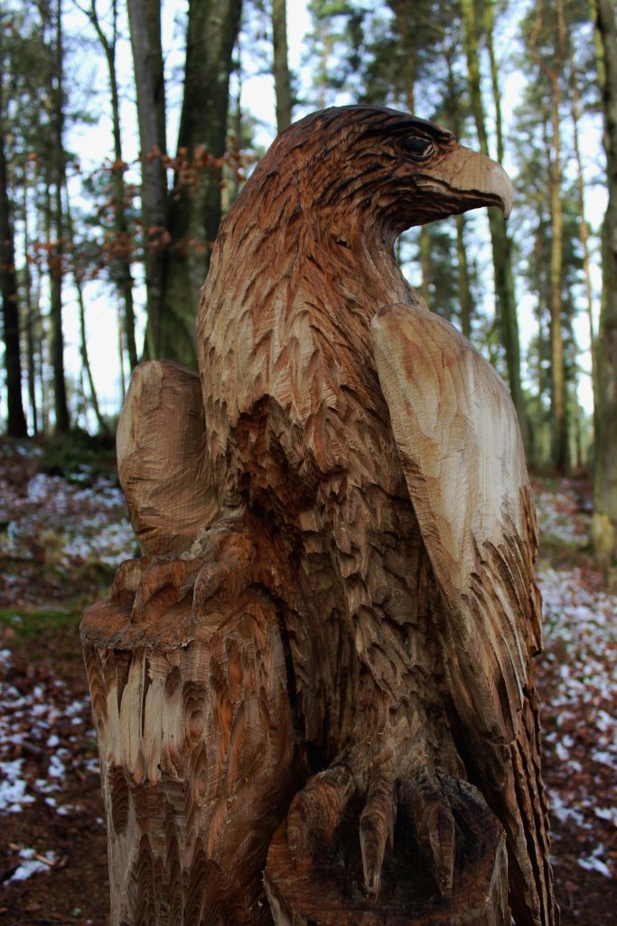 3 - A carved wooden eagle surveys his surroundings - James Carron, Take a Hike