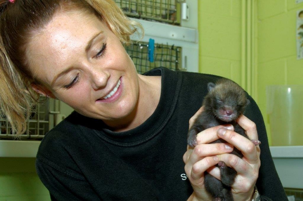 Bernard with wildlife assistant Nicola Turnbull.