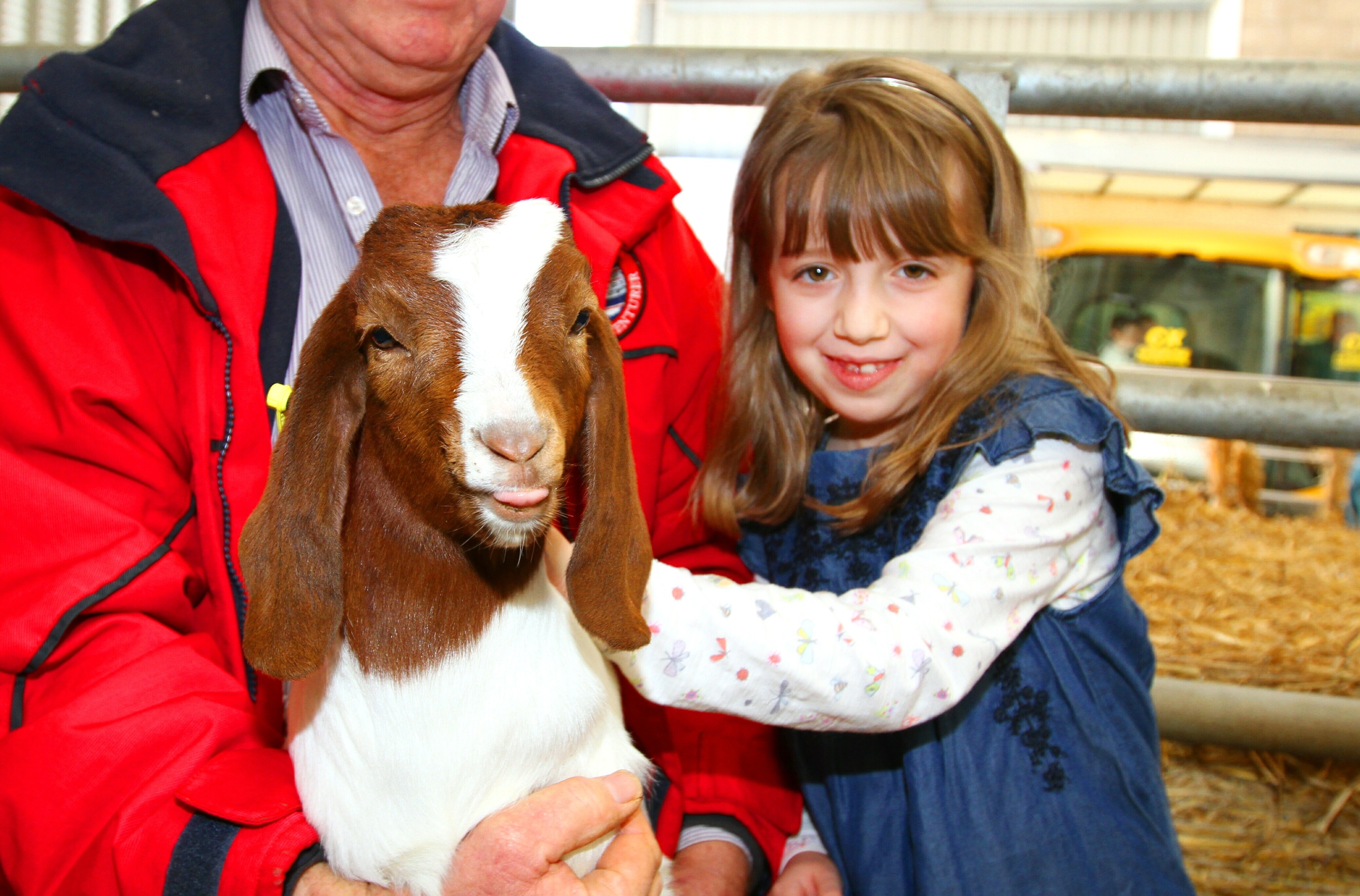 Eight-year-old Alice Miller-Richardson from Monikie with a Boer Goat at the event