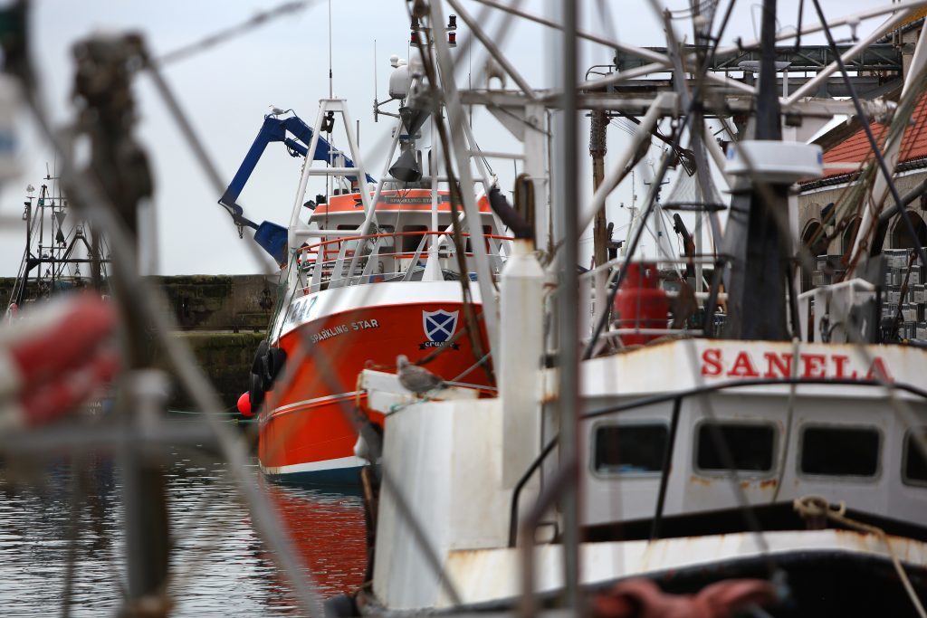 General view of fishing boats in Pittenweem harbour. 