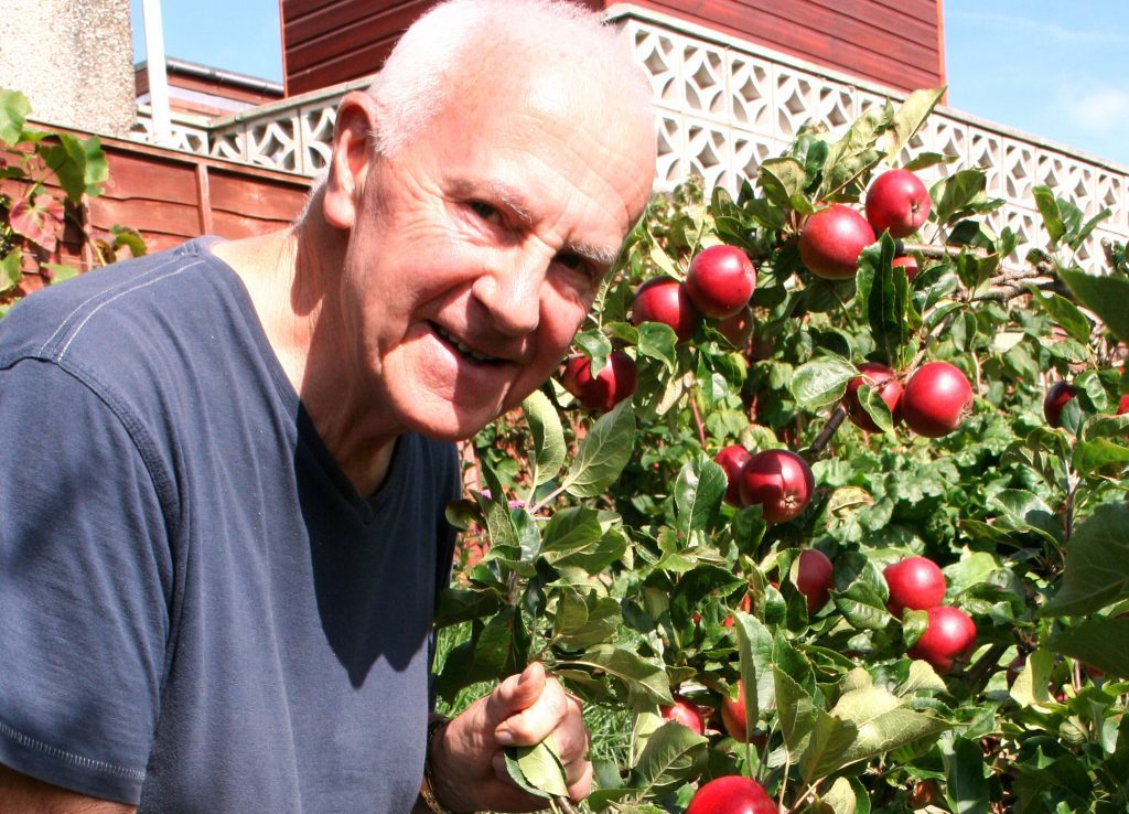 John picks early apple Discovery