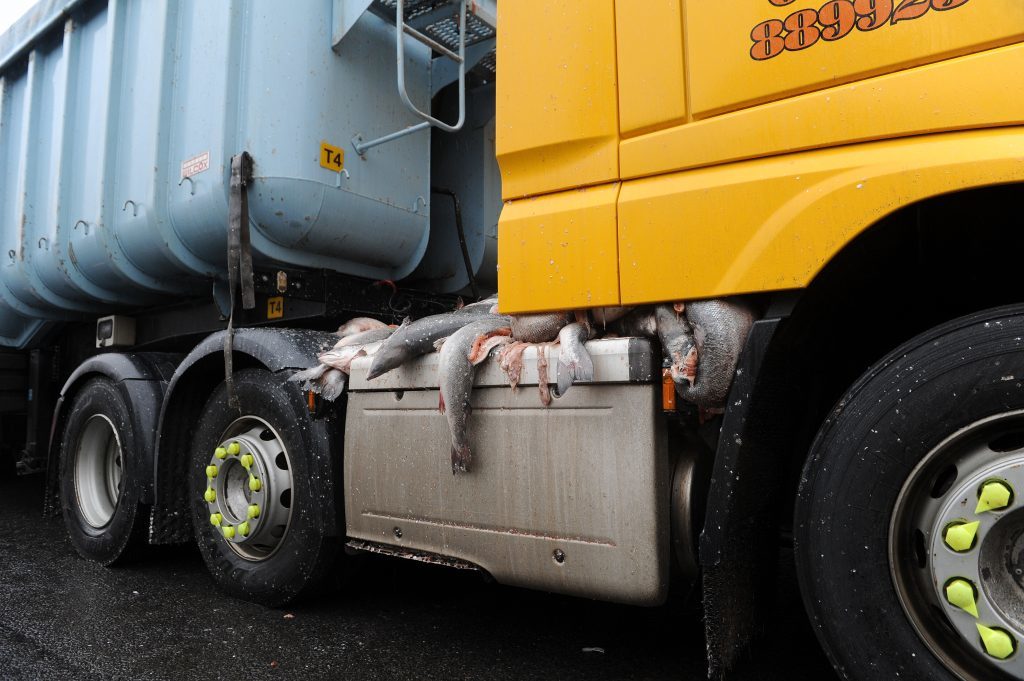 The fish spilled over the cab and coupling of the lorry.
