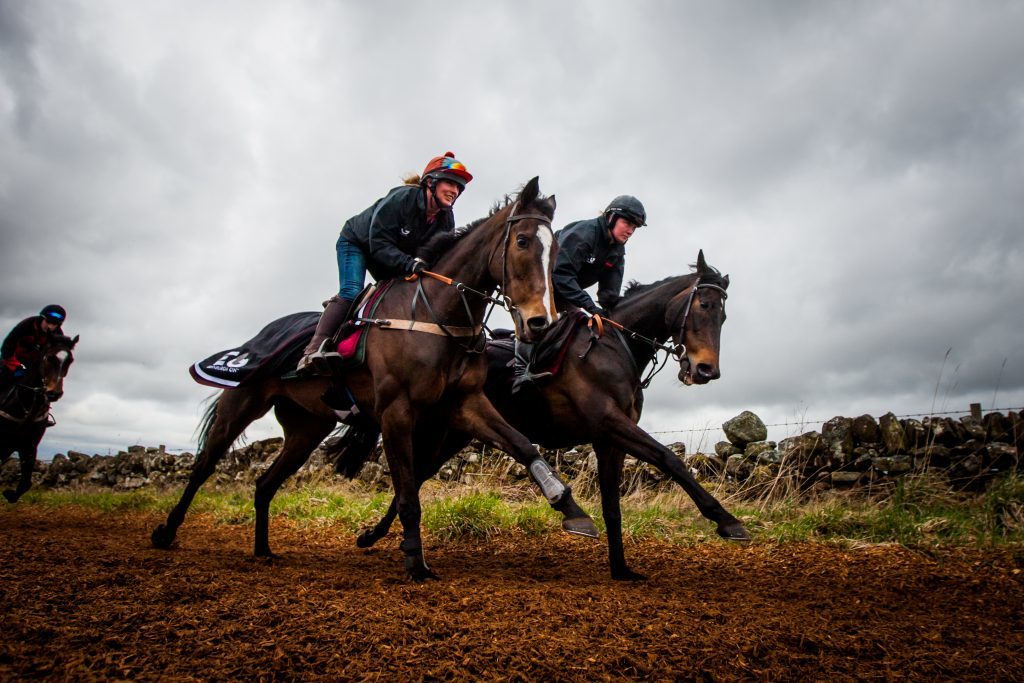 One for Arthur with jockey Erin Walker during training alongside Quito Du Tresor and jockey Leanne Williamson. 