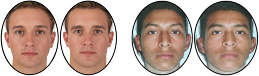 Pairs of European (left) and Salvadoran (right) male facial stimuli, with the left of each pair feminised and the right masculinised in shape.