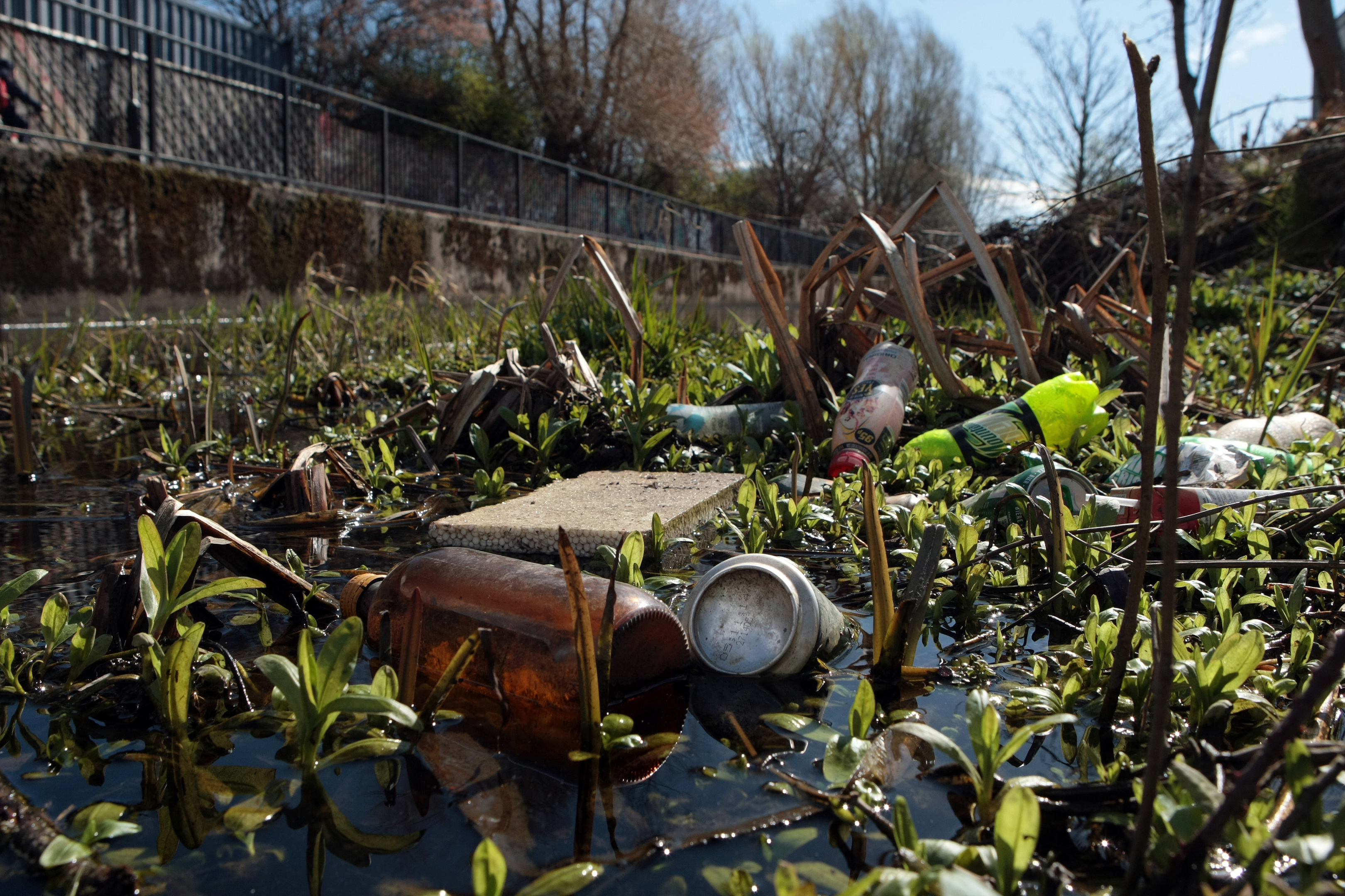 Rubbish in Perth Lade in 2015.