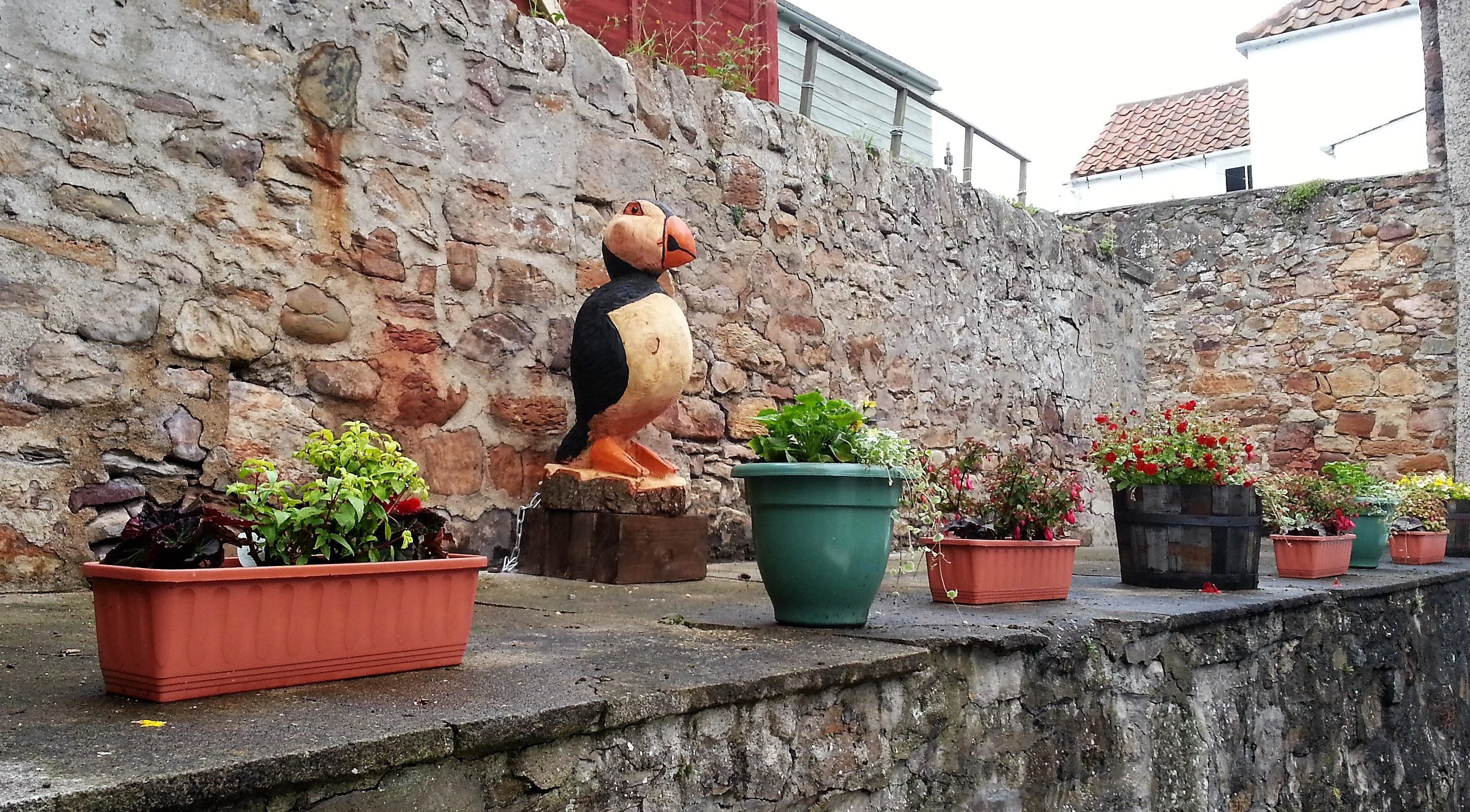 Cellardyke's puffin was stolen from its James Street roost