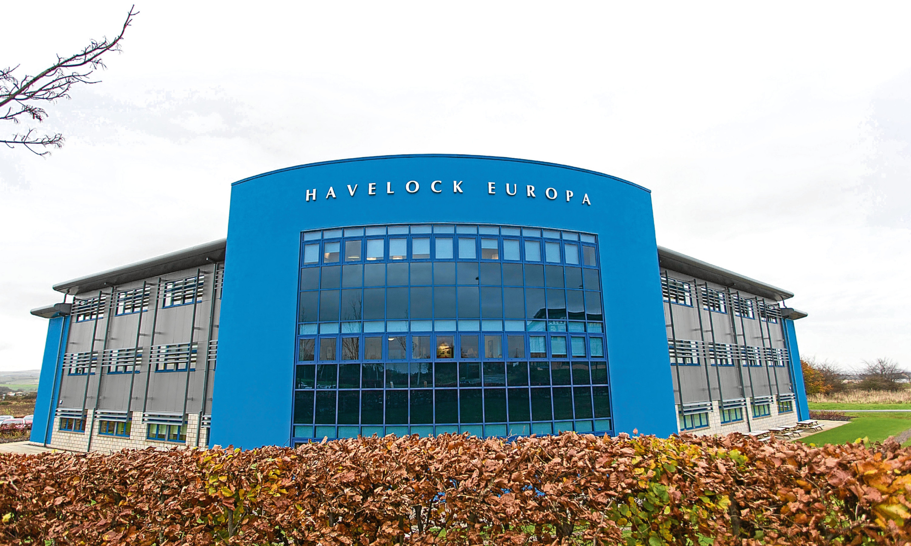 Havelock Europa in Kirkcaldy