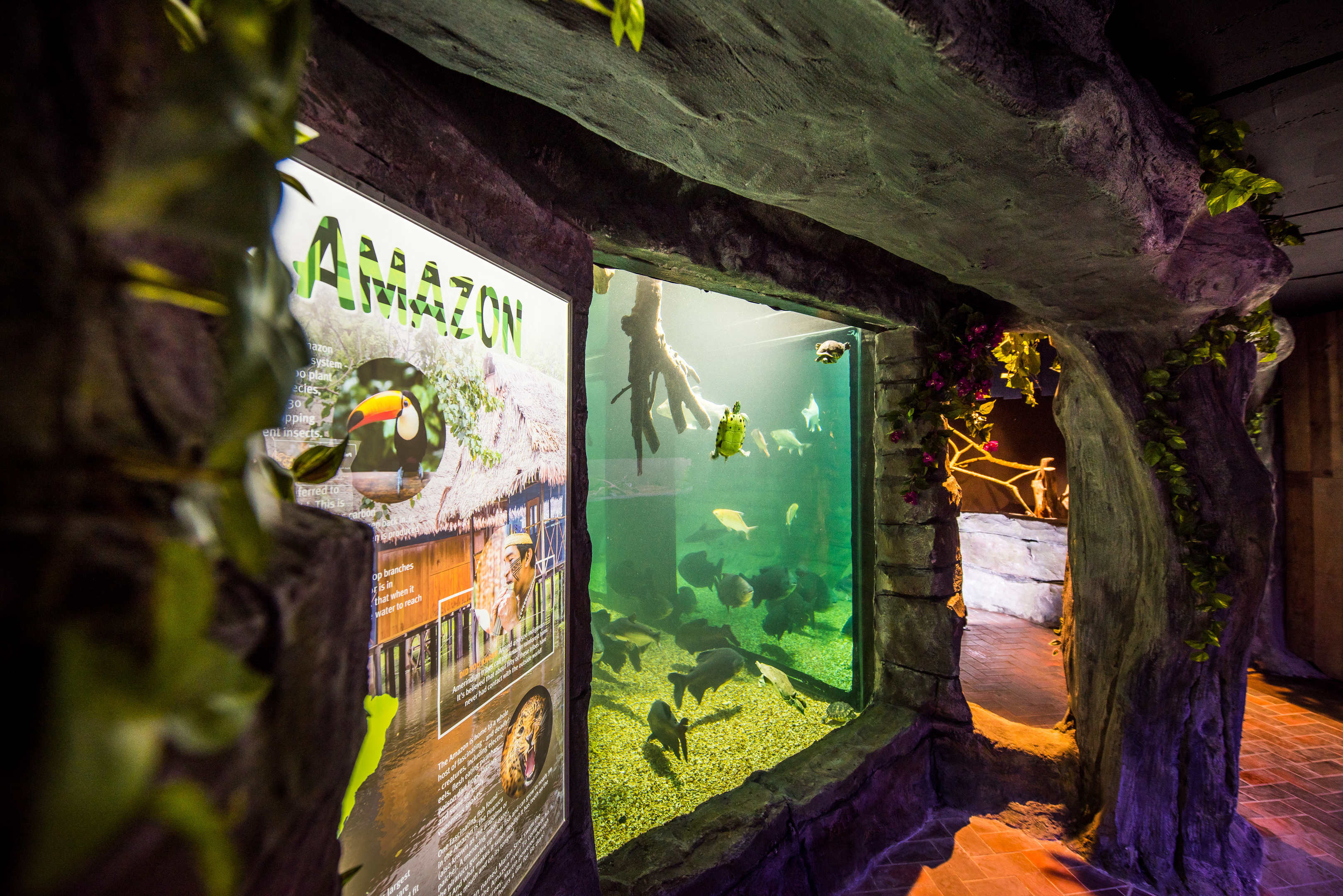 The passes were stolen from St Andrews Aquarium