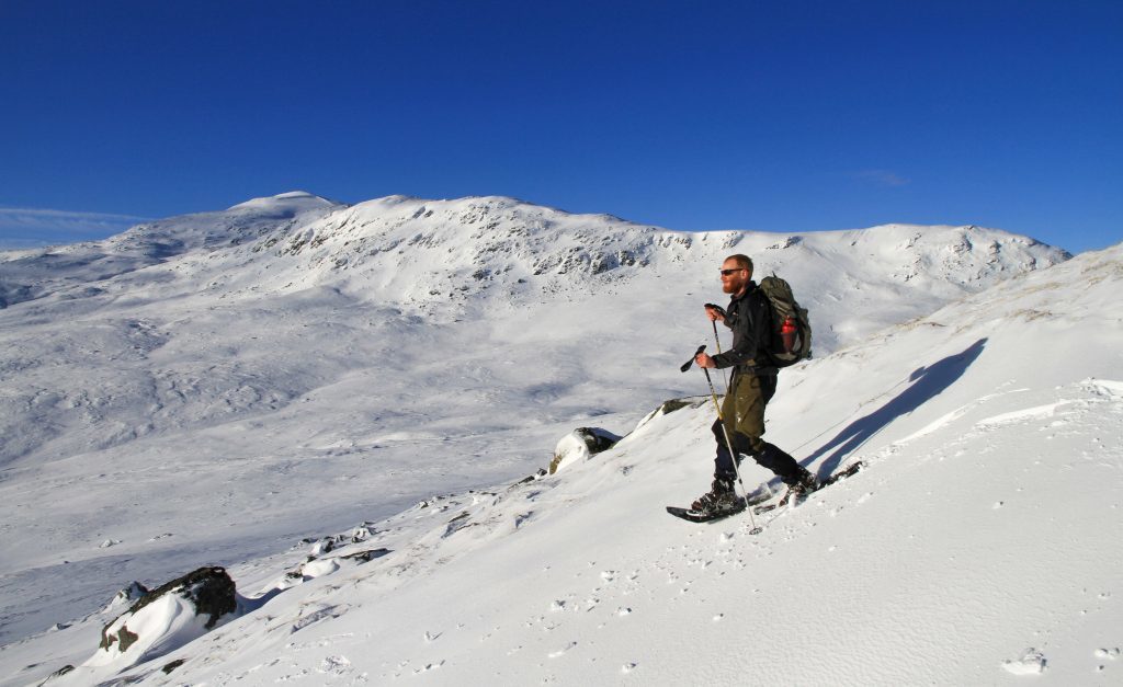 Ben in the Highlands of Scotland