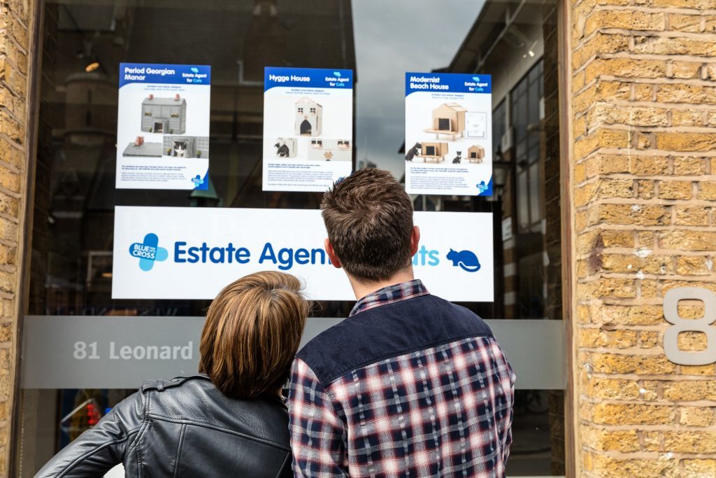 Blue Cross Estate Agent for Cats