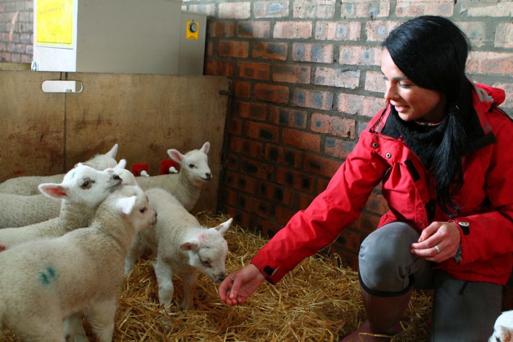 Gayle with some of the new lambs.