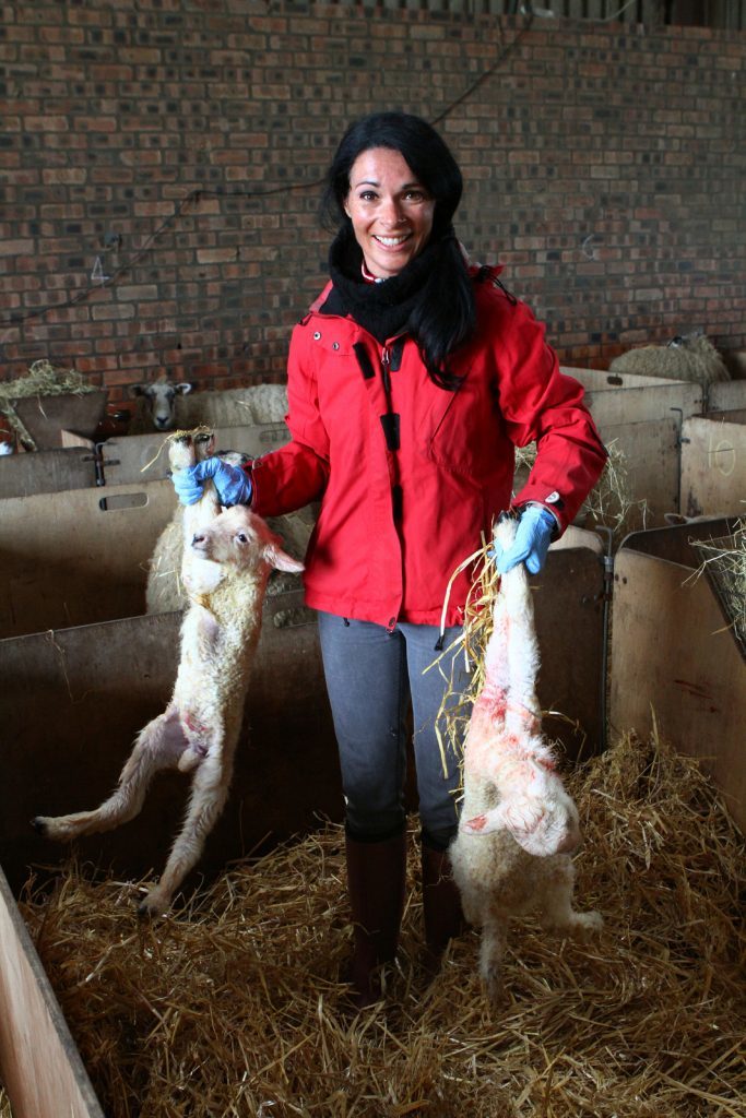 Gayle carries two of the new lambs.