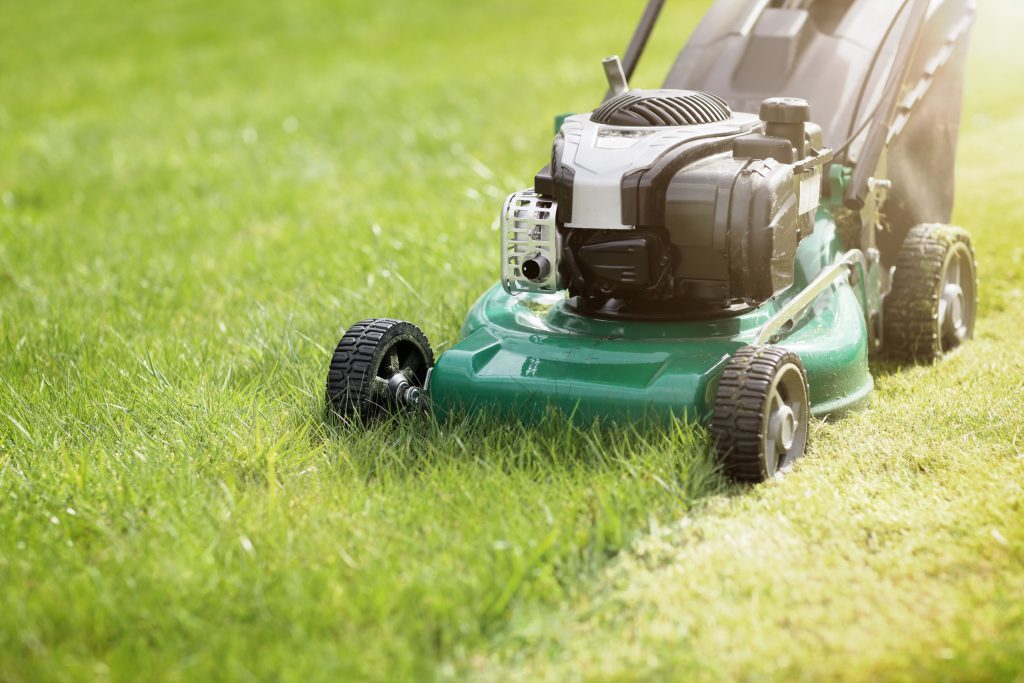 Lawnmower cutting grass.