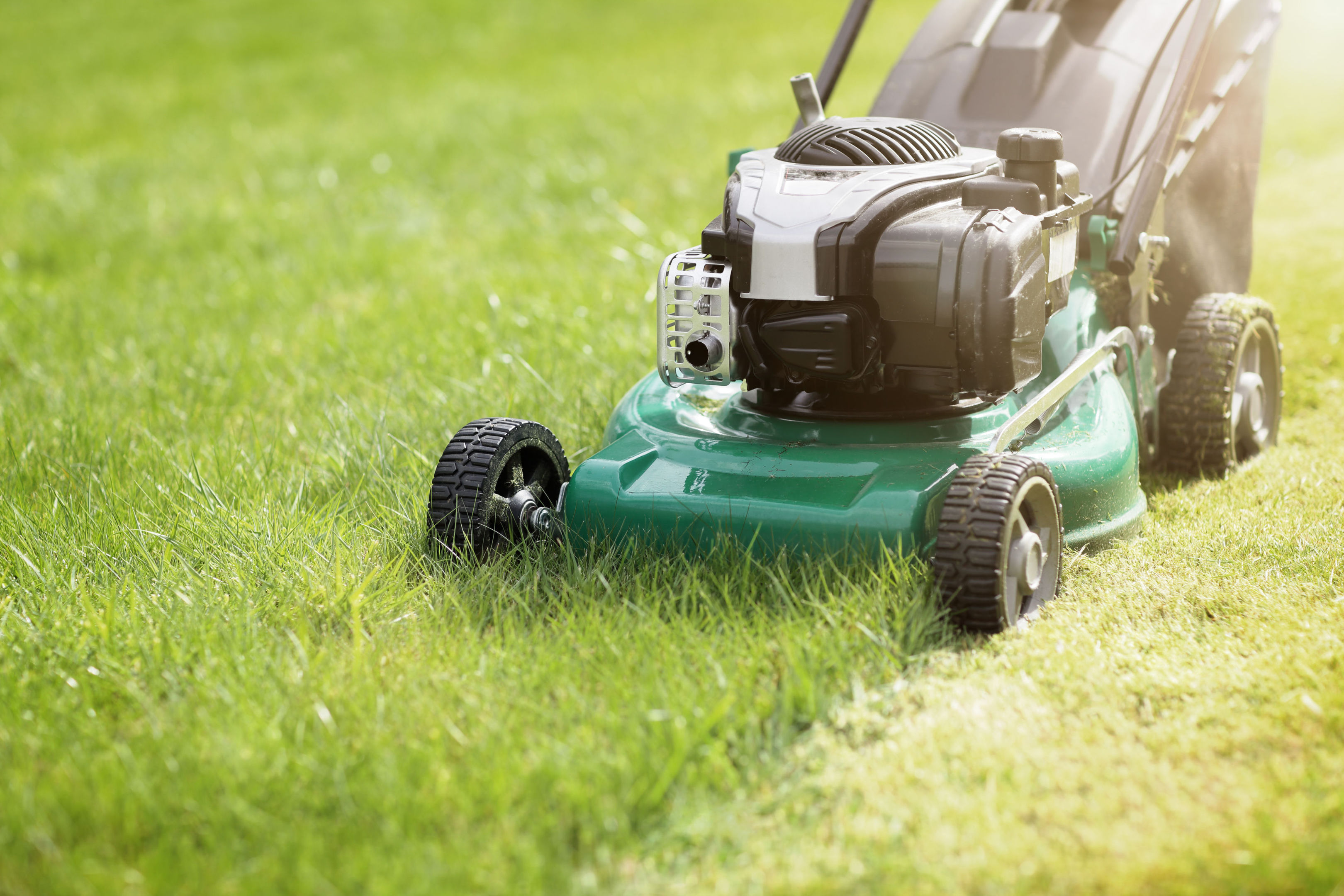 Time bank activities might involve mowing someone's lawn