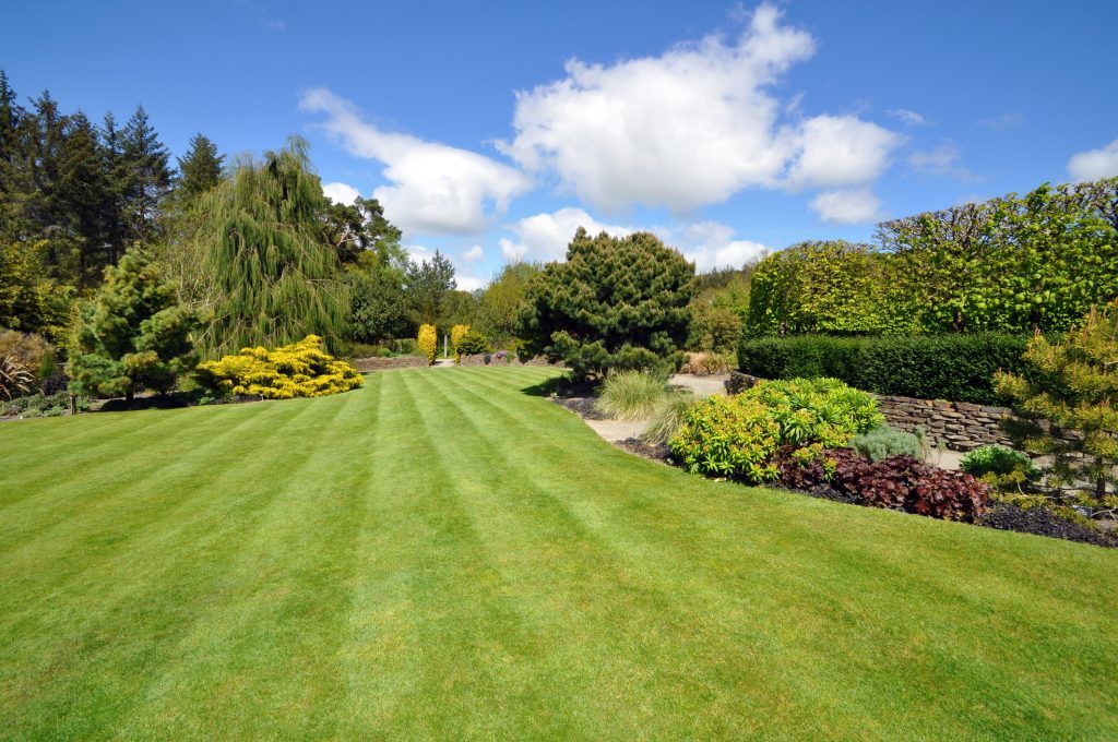 A beautiful English country garden, a beautiful lawn edged by colourful borders.