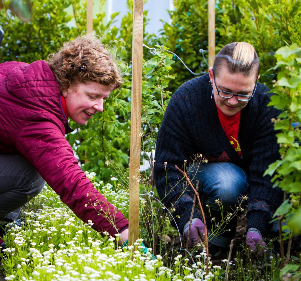 Sarah Gittins (left) and Shonagh Glen do some weeding.