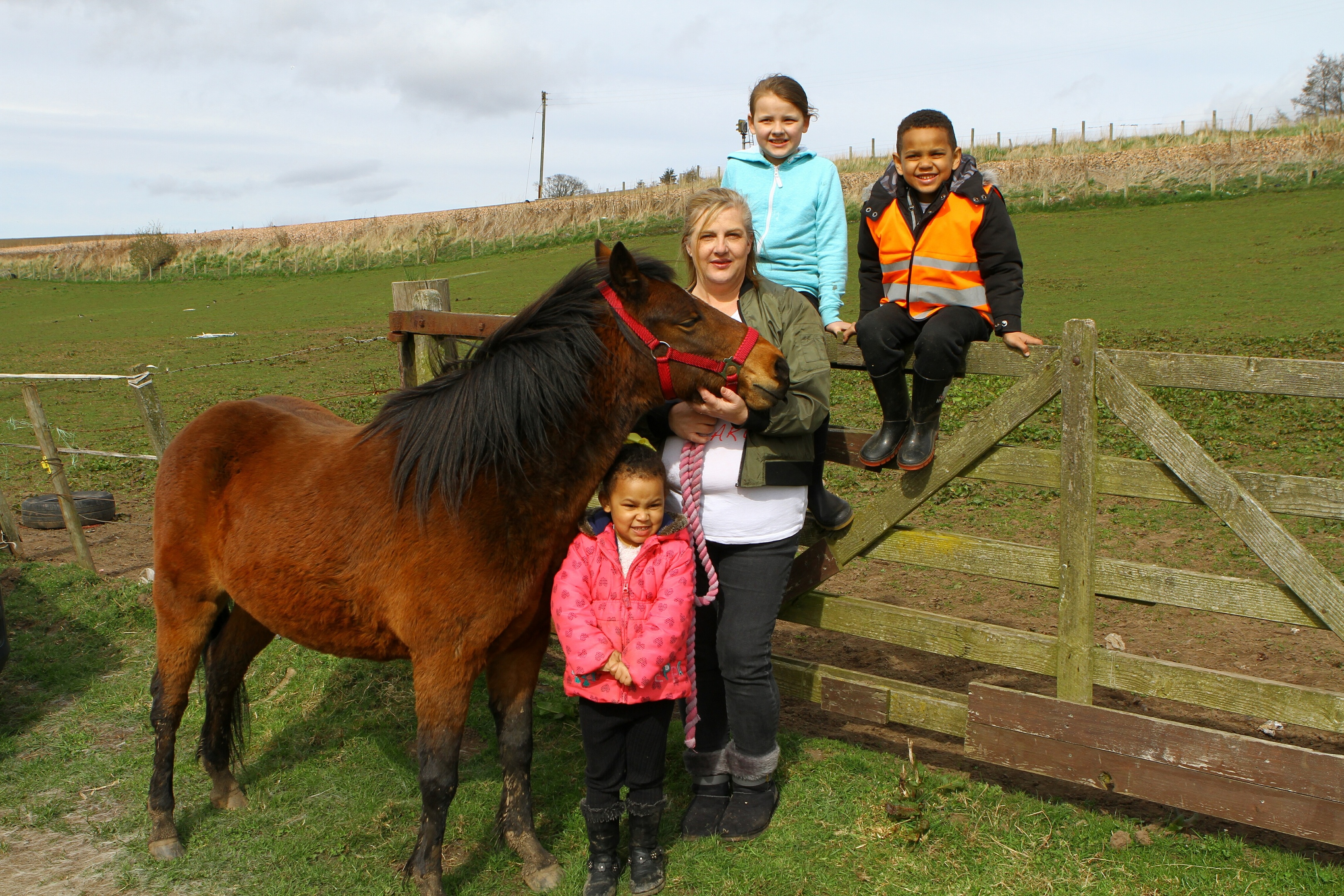 Wendy Robb with one of the horses Orchid, and helpers, Mya-Lynn Koffi (front) and Jasmine Dogan and Curtis Koffi, at the fields near Letham Mill, Arbroath.