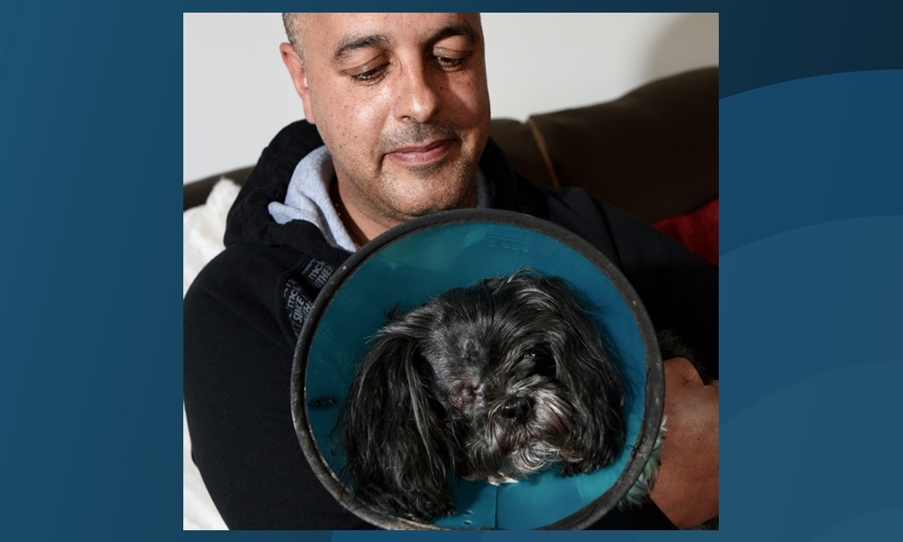 Derek Baxter with his dog Millie who lost an eye after being attacked by another dog.