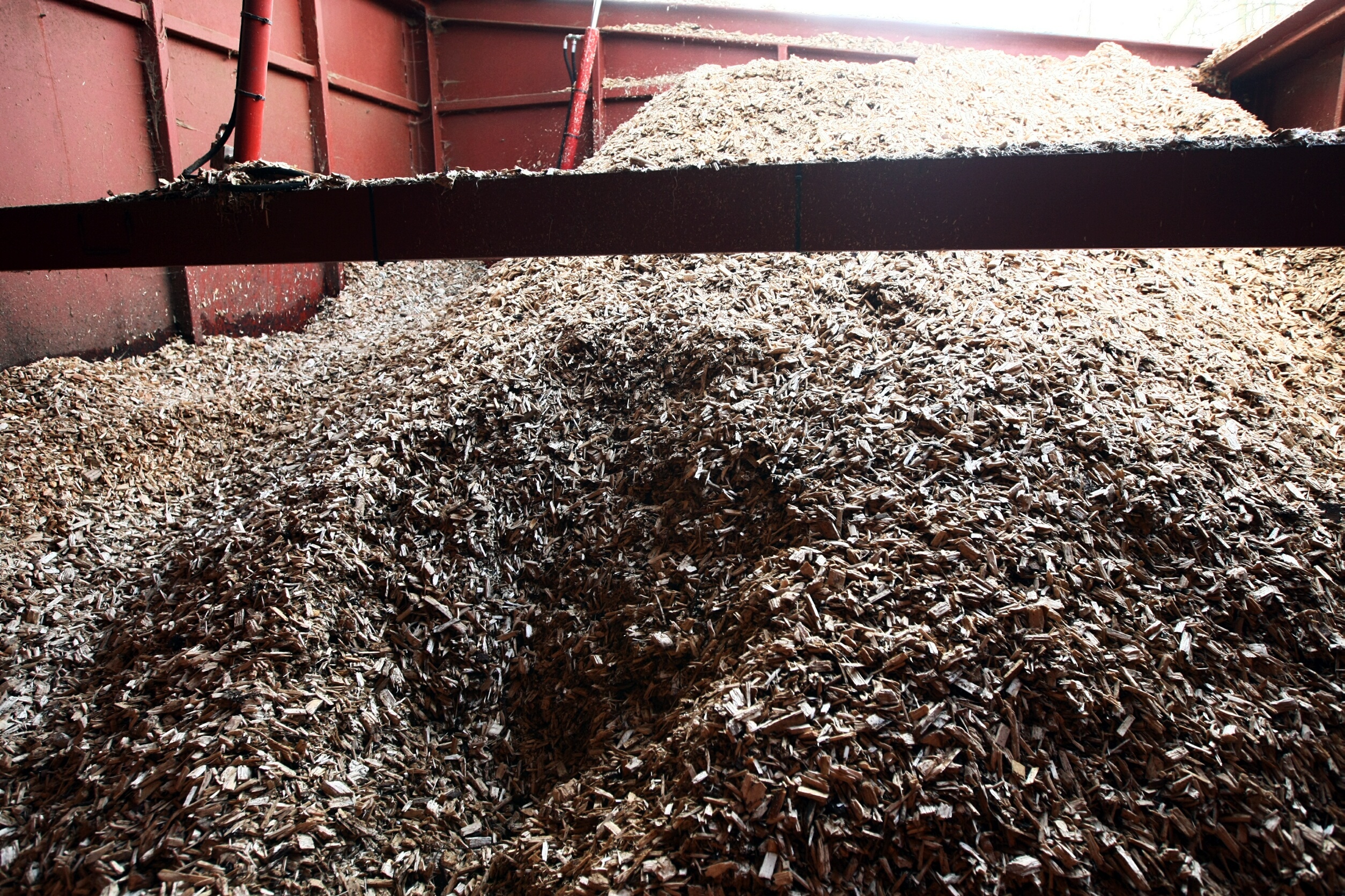 Wood chips