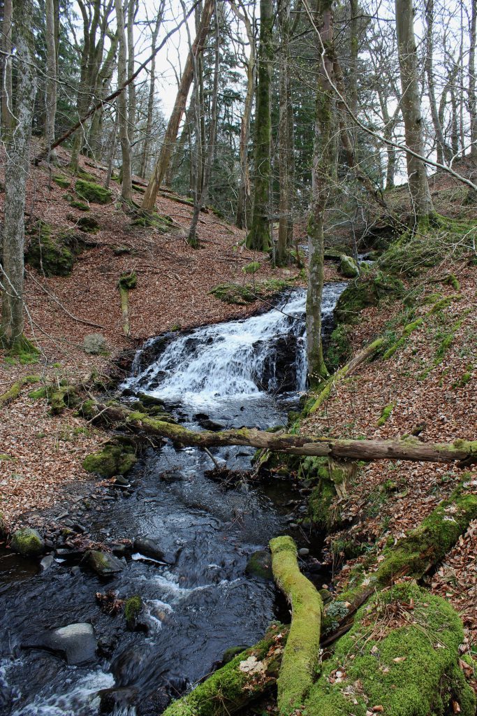 4 - Stream running through Byres of Murthly - James Carron, Take a Hike