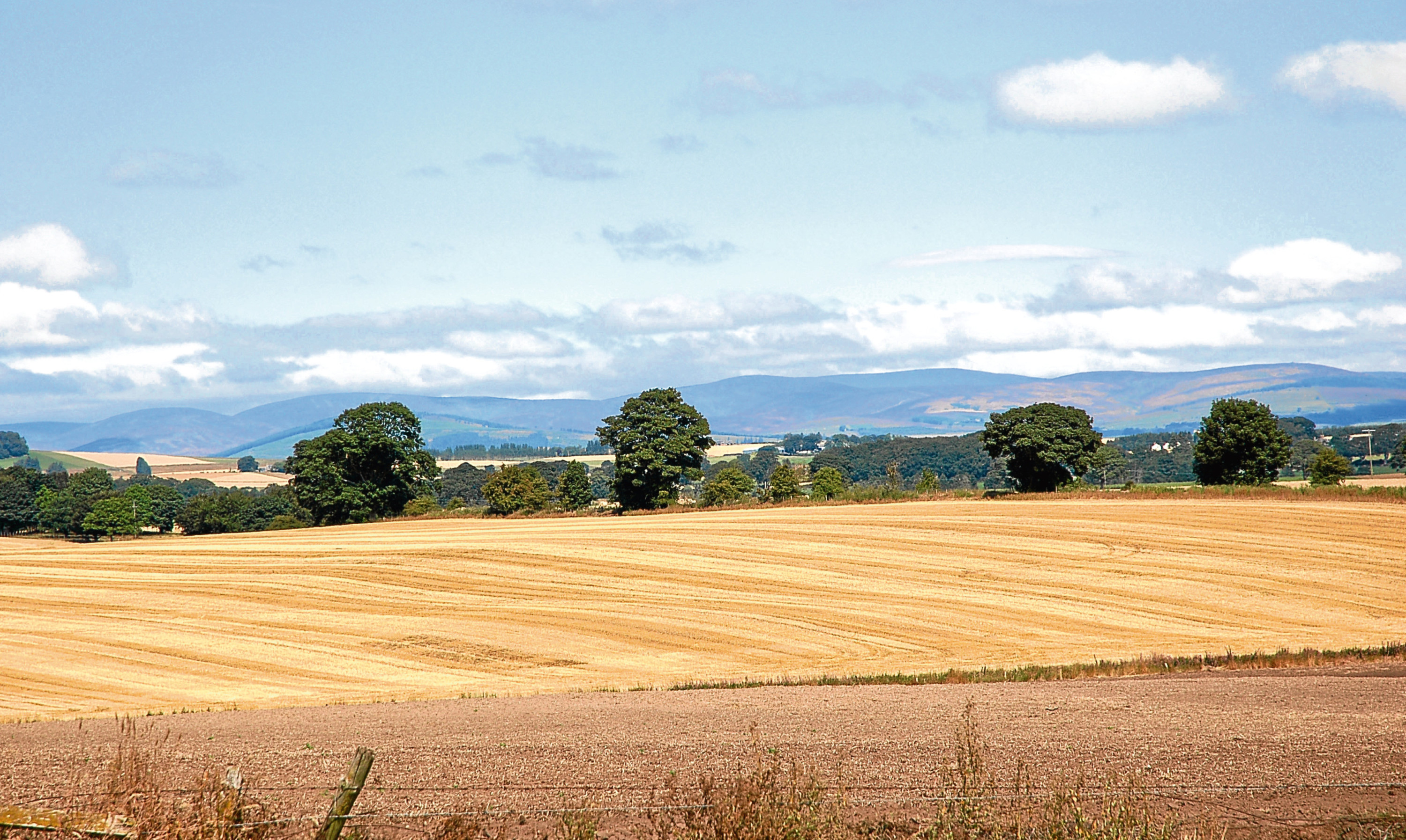 The carefully tended landscape of Strathmore between Perth and Forfar.