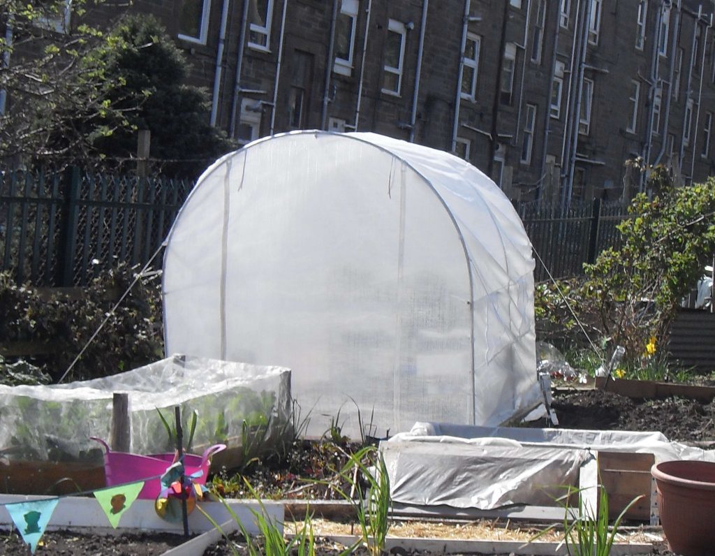 A small poly tunnel