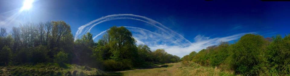 Becky McManus took this great panoramic of the sky.