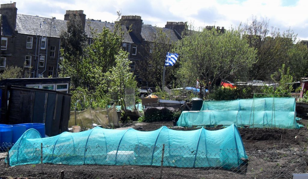 Birds and butterfly protection at City Road