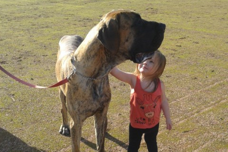 Zeus with one of his young friends.