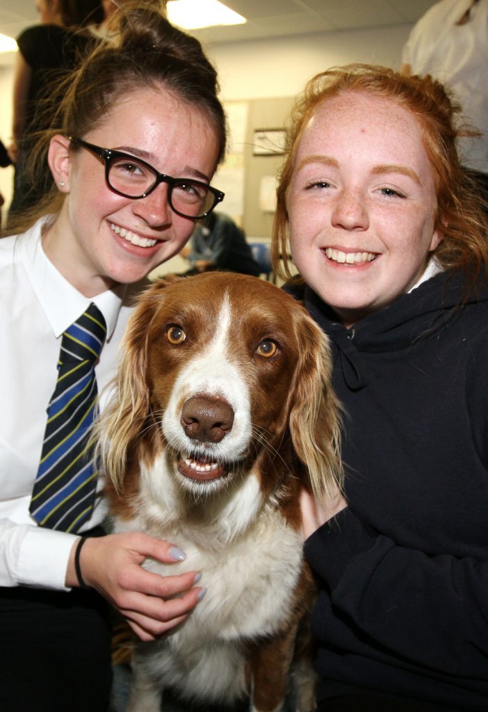 Spaniel Bodie gets a warm welcome from Jenna Simpson and Roisin Penny.